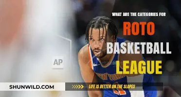 Roto Basketball League: Understanding Player Categories for Success