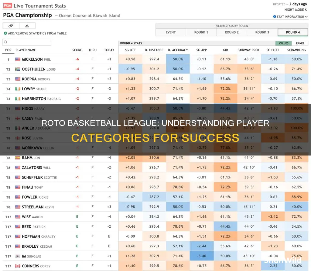 what are the categories for roto basketball league