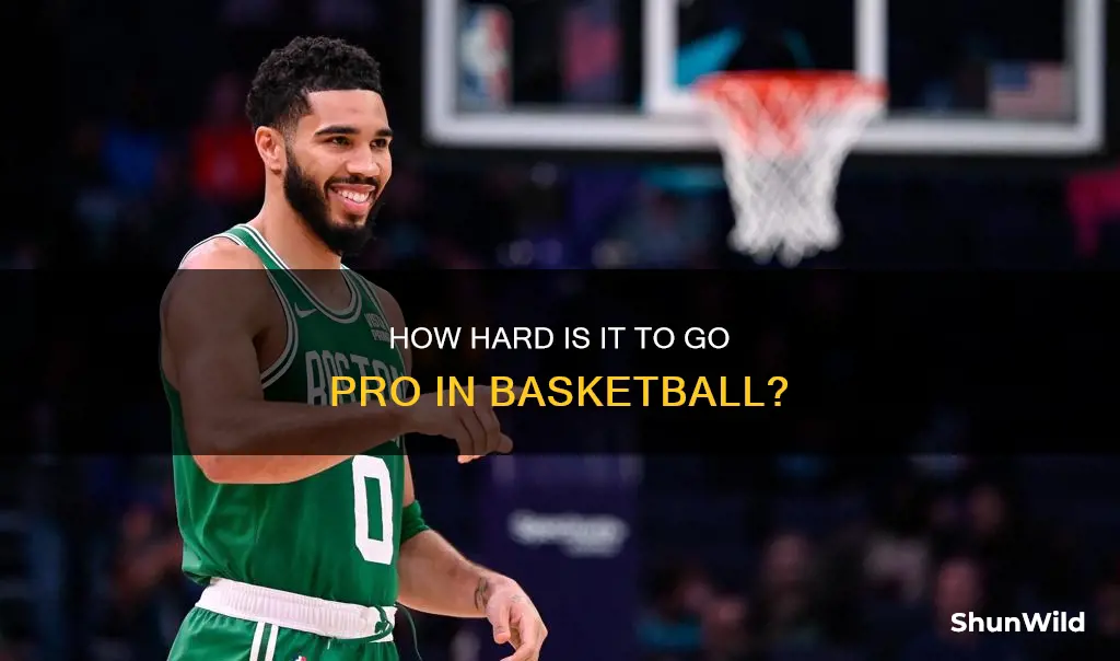 what are the chances of going pro in basketball