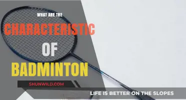 Badminton: Fast-Paced, Agile, and Strategic Sport