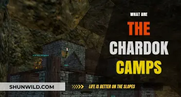 Exploring the Mysteries of Chardok Camps: Origins, Purpose, and Legacy