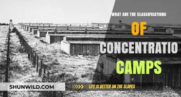 Understanding Concentration Camp Classifications: Types, Purposes, and Historical Context