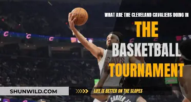 Cavaliers' Strategy in the Basketball Tournament: What's Their Play?