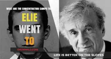 Elie Wiesel's Harrowing Journey Through Nazi Concentration Camps