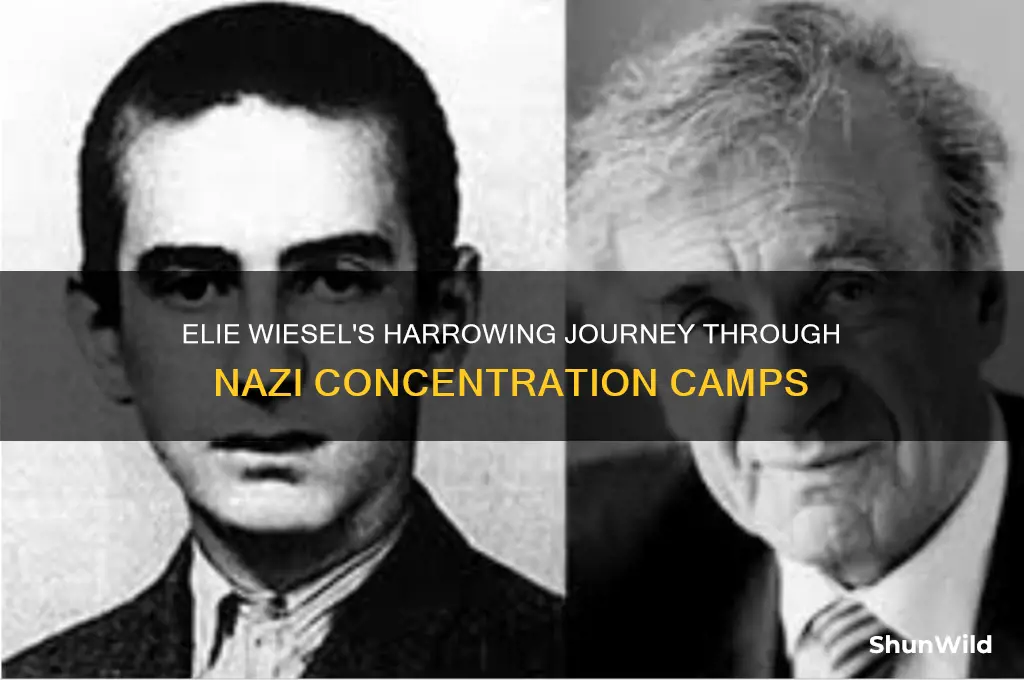 what are the concentration camps that elie went to