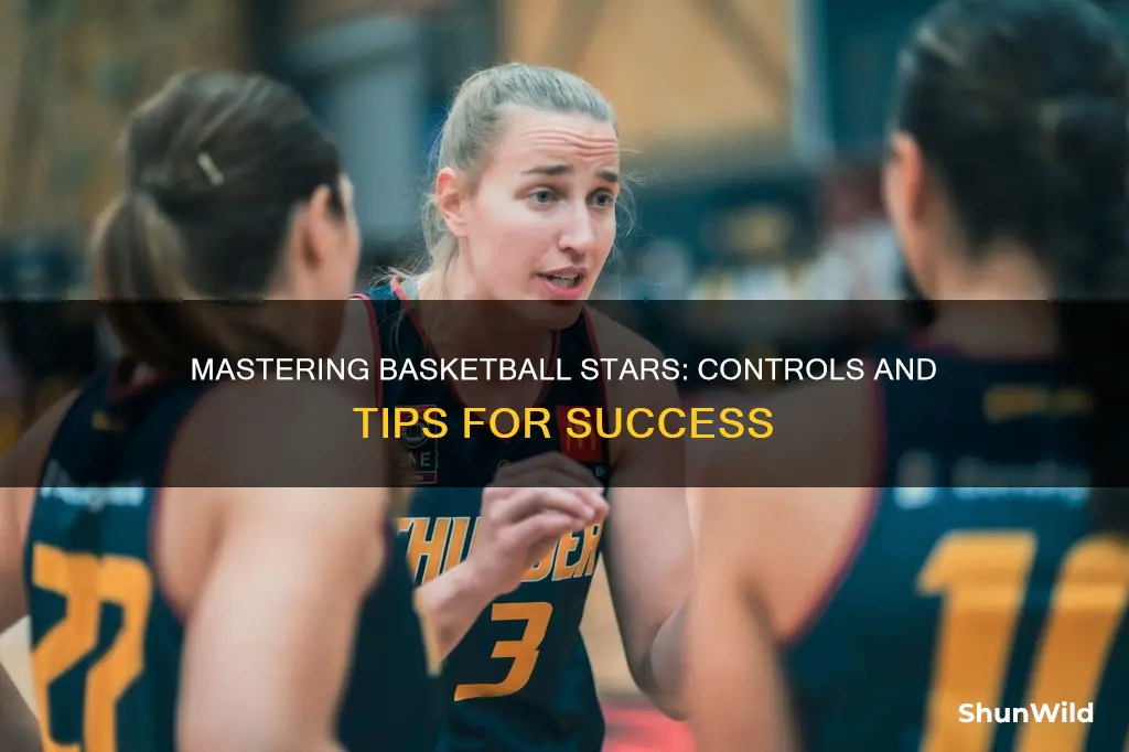 what are the controls for basketball stars