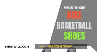 Nike's Basketball Shoe Hall of Fame