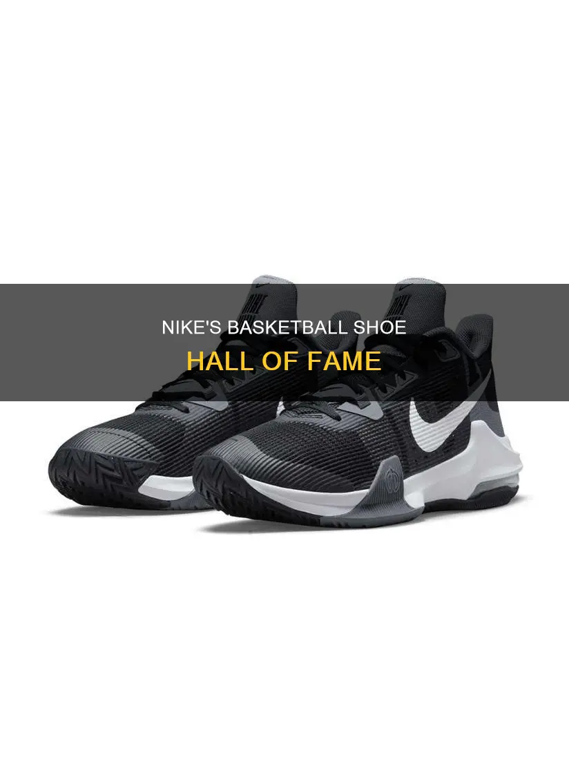 what are the coolest nike basketball shoes