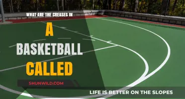 Basketball 101: Understanding the Creases