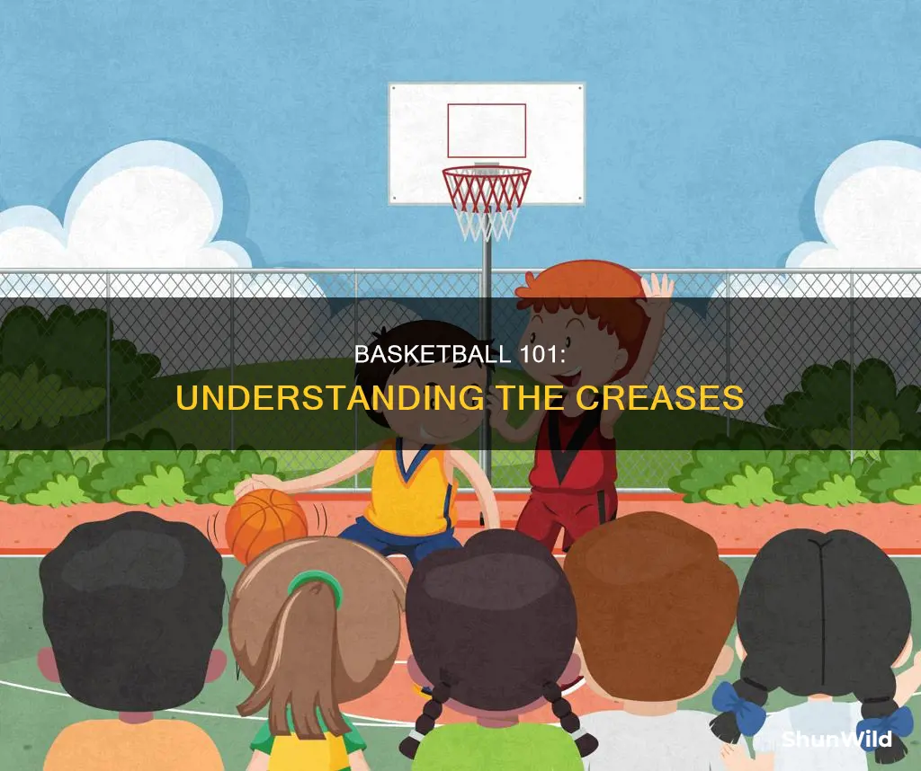 what are the creases in a basketball called