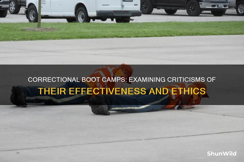 what are the criticisms of correctional boot camps