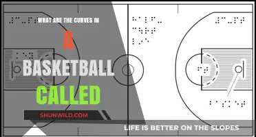 Basketball Court Curves: What's Their Name?