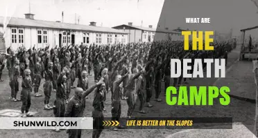 Understanding Death Camps: History, Purpose, and Lasting Impact Explained