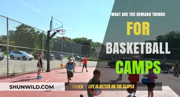 Basketball Camps: Demand Trends and Insights