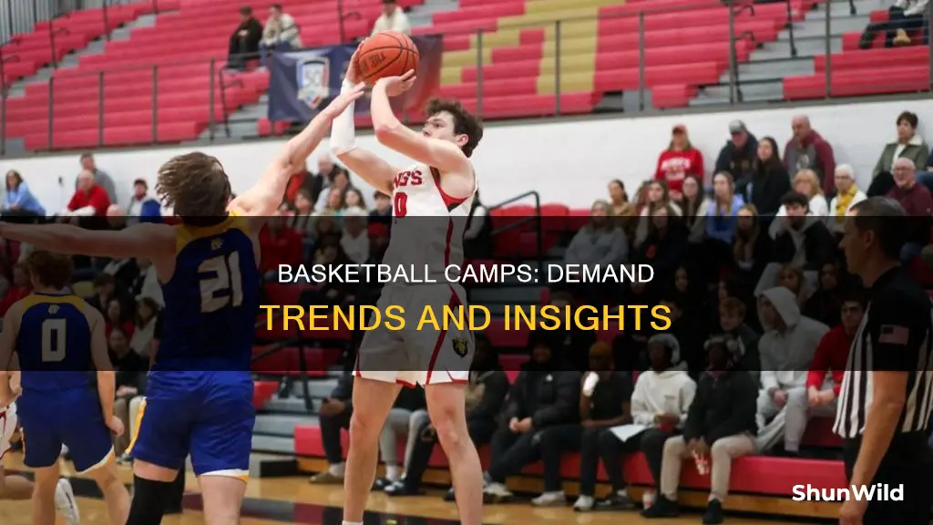 what are the demand trends for basketball camps