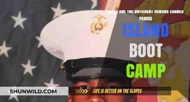 Honors Earned at Parris Island Boot Camp: A Comprehensive Guide