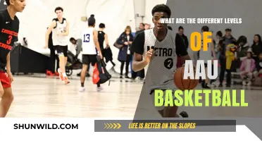 AAU Basketball: Understanding the Competitive Tiers