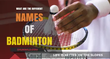 The Many Names of Badminton: A Global Sport