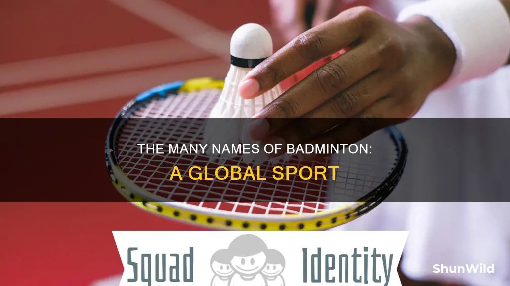 what are the different names of badminton