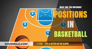 Understanding Basketball: Exploring Player Positions