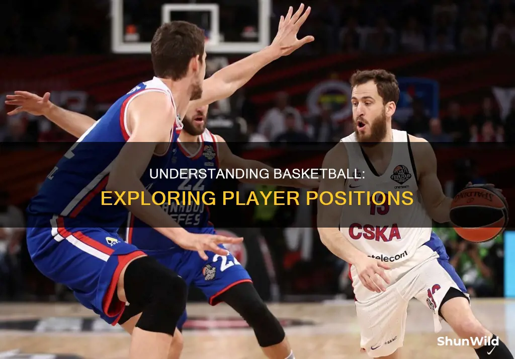 what are the different positions in basketball