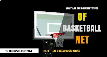 The Evolution of Basketball Nets: Different Types Explained