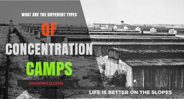 Exploring the Varied Types of Concentration Camps in History