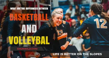 Basketball vs. Volleyball: A Comparison of Court Sports