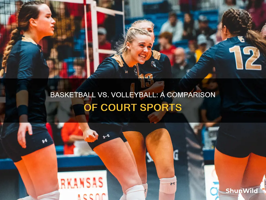 what are the differnces between basketball and volleybal