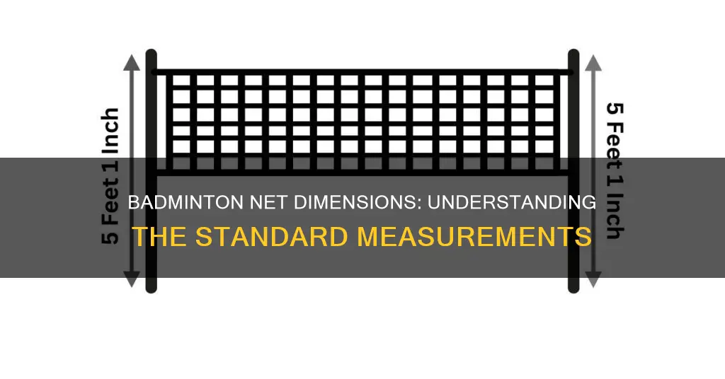 what are the dimensions of a badminton net