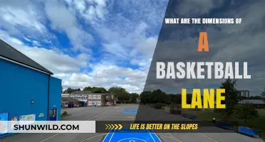 The Basketball Lane: Dimensions and Rules Explained