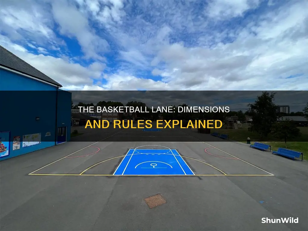 what are the dimensions of a basketball lane