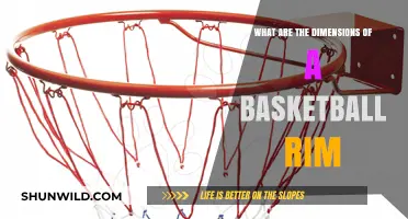The Standard Basketball Rim: Diameter and Dimensions