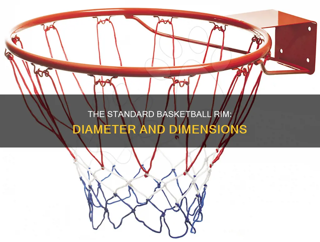 what are the dimensions of a basketball rim