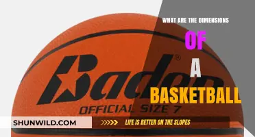 The Standard Basketball Size: Official Dimensions Explained