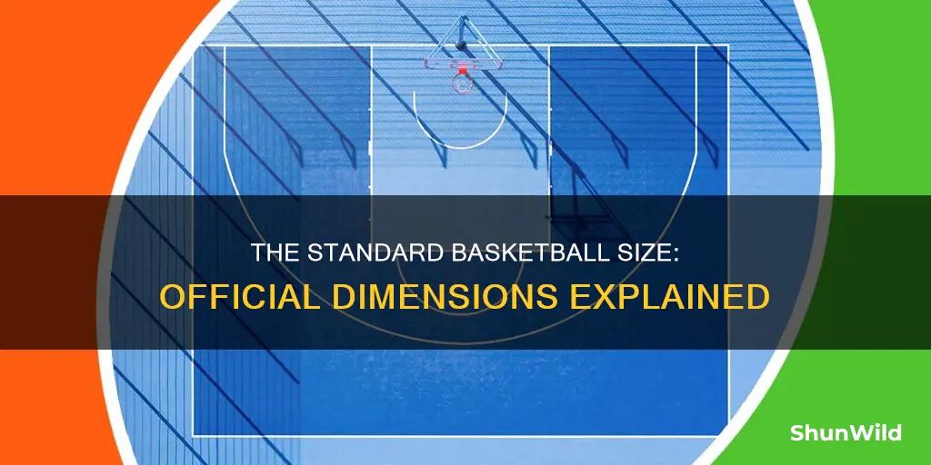 what are the dimensions of a basketball