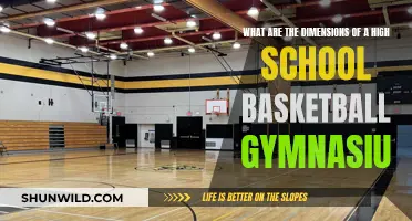 The Standard High School Basketball Court: Dimensions and More