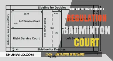Badminton Court Dimensions: Understanding the Regulation Size