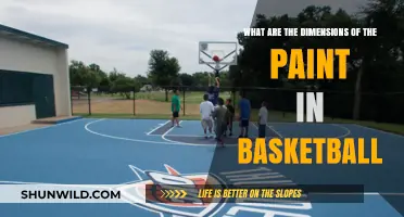 The Paint's Dimensions: Basketball's Vital Real Estate
