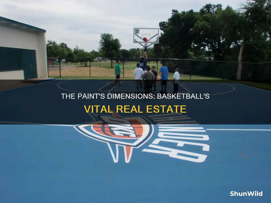 what are the dimensions of the paint in basketball