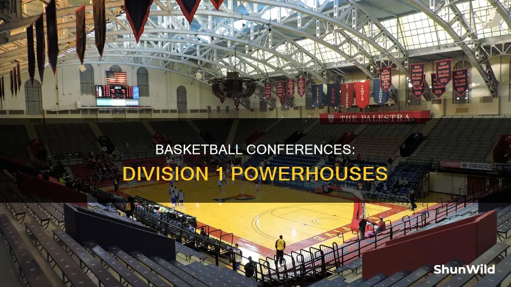 what are the division 1 basketball conferences
