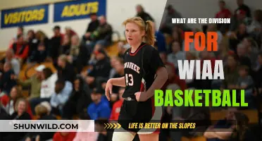 WIAA Basketball Divisions: Understanding the Competitive Landscape