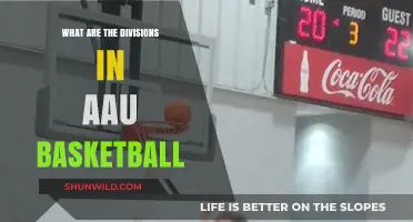 AAU Basketball Divisions: Understanding the Competitive Landscape