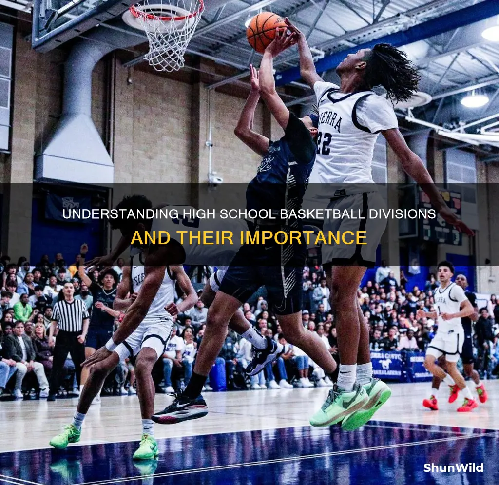 what are the divisions in high school basketball