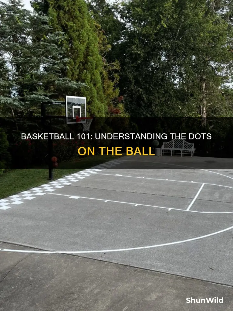 what are the dots on a basketball called