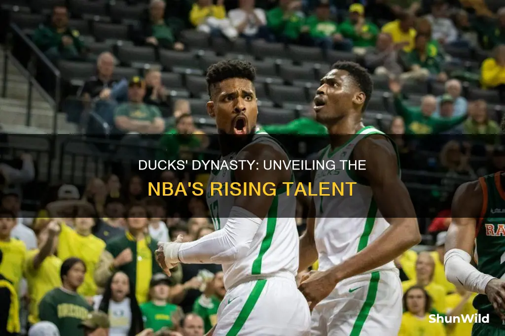 what are the ducks ranked in basketball