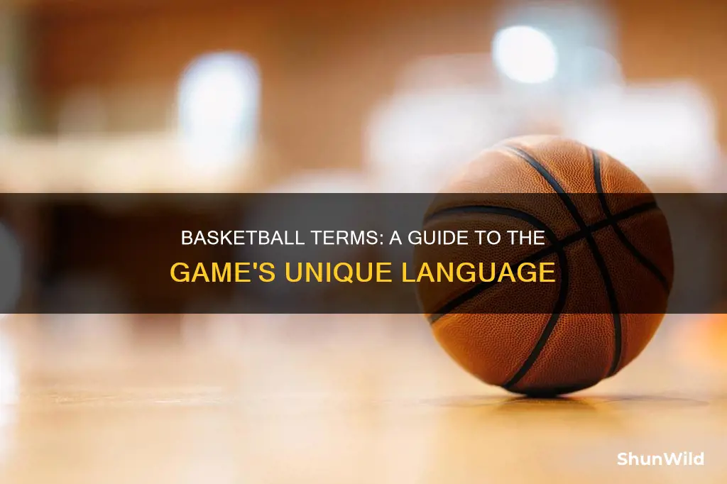 what are the erms for basketball