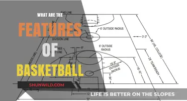 The Dynamic Features of Basketball
