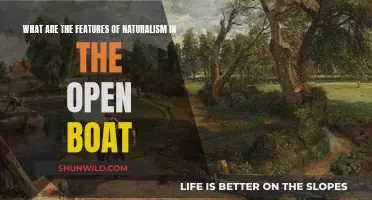 Naturalism in The Open Boat: A Study of Features