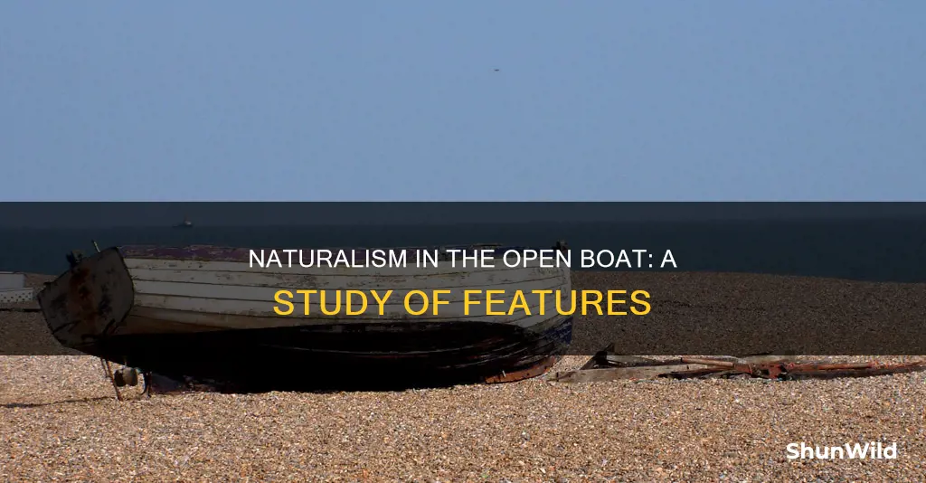 what are the features of naturalism in the open boat